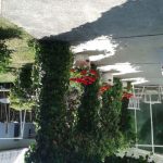 Romantikus Kisházikó Balatonfüred  szállás fotó - 3