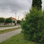 Vidám Ház Sopronkövesd  szállás fotó - 5