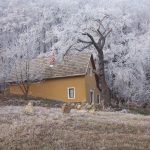 Cottage by the Woods Balatonhenye  szállás fotó - 4