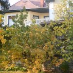 Ambrózia Villa Balatonfüred  szállás fotó - 2